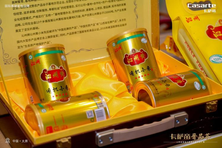卡萨帝晋品荟:文化与科技交融,展现山西魅力